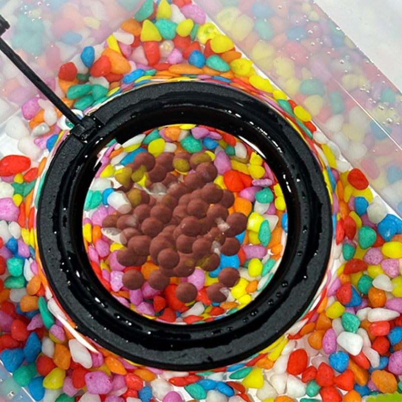 Dbeans Flourithing Dbeans Floathng Aquarium Fish Feeder, Red Worm Cup, Multiple Pets - Image 5